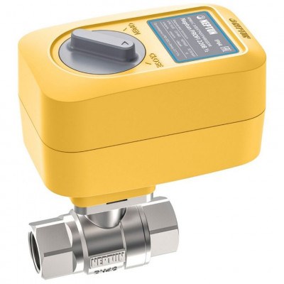 Кран с электроприводом Neptun Profi 220В 1 1/4"